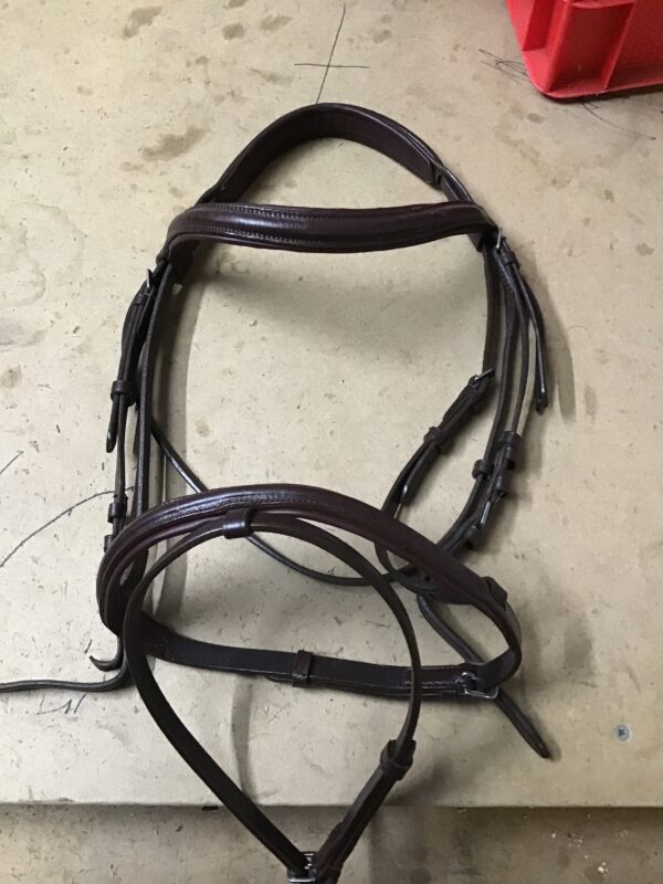 Brown cob bridle