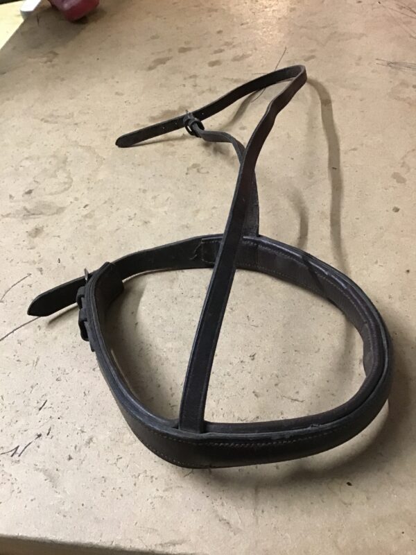 Noseband cob