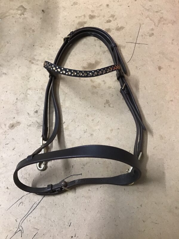 Cob bridle