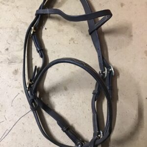 Pony in hand bridle