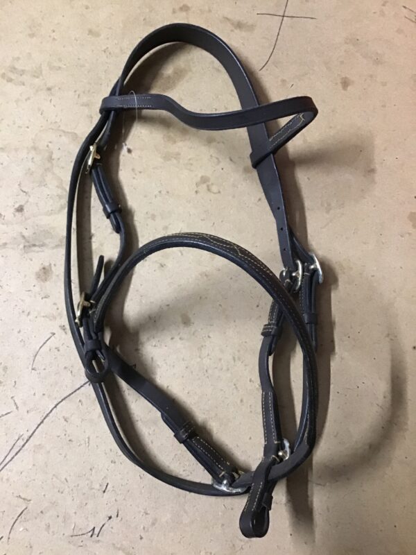 Pony in hand bridle