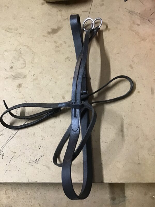 Black cob running martingale