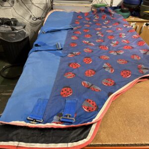 6’6 shires rainsheet