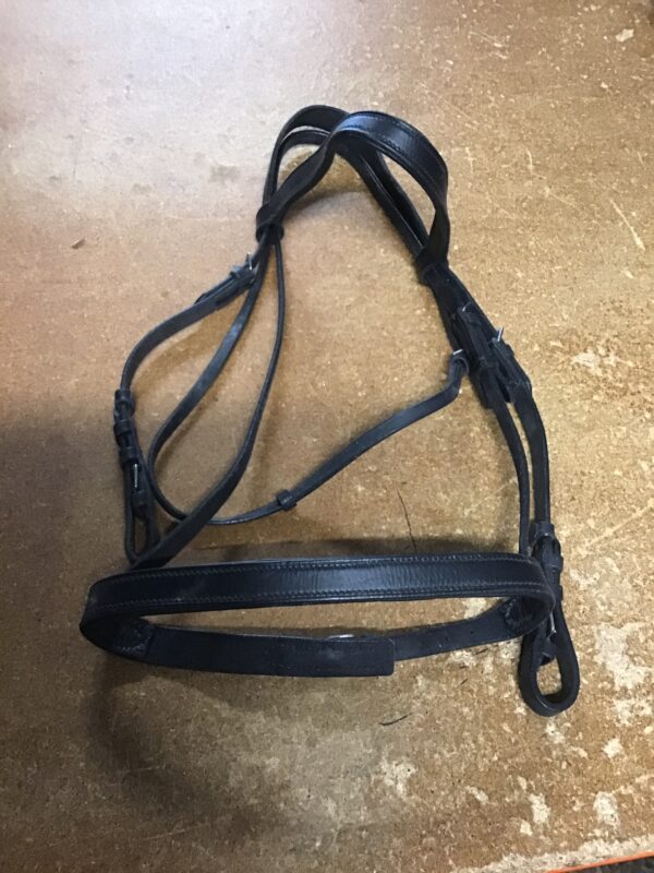 Cob black bridle
