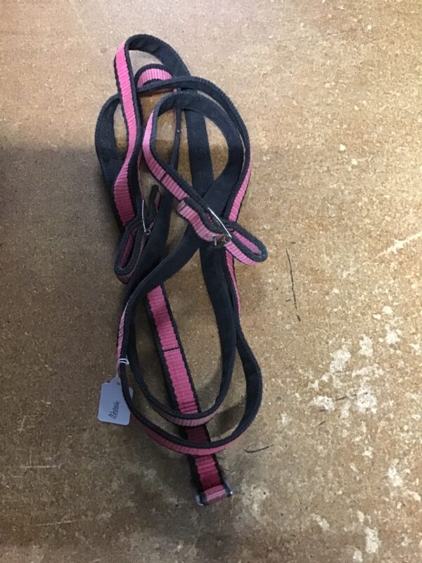 Reins