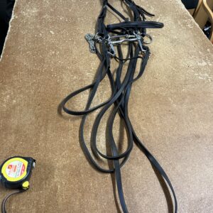Full double bridle