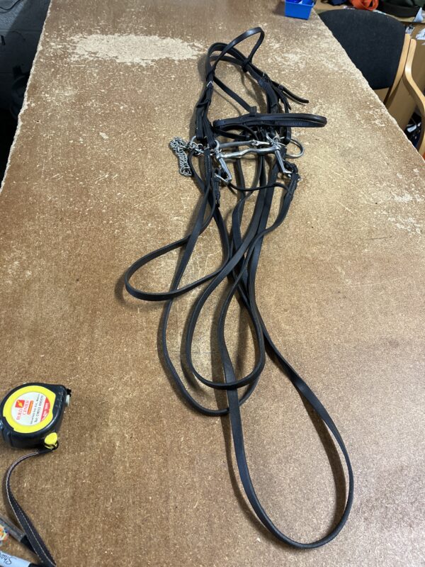 Full double bridle