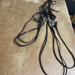 Pony double bridle