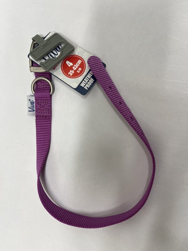 NEW purple dog collar