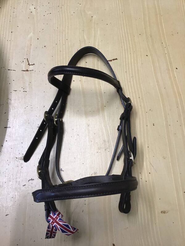 Pony in hand bridle Havana