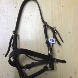Pony in hand bridle with bit