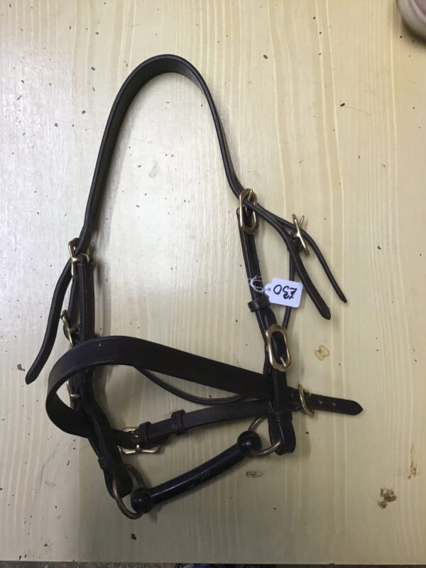 Pony in hand bridle with bit