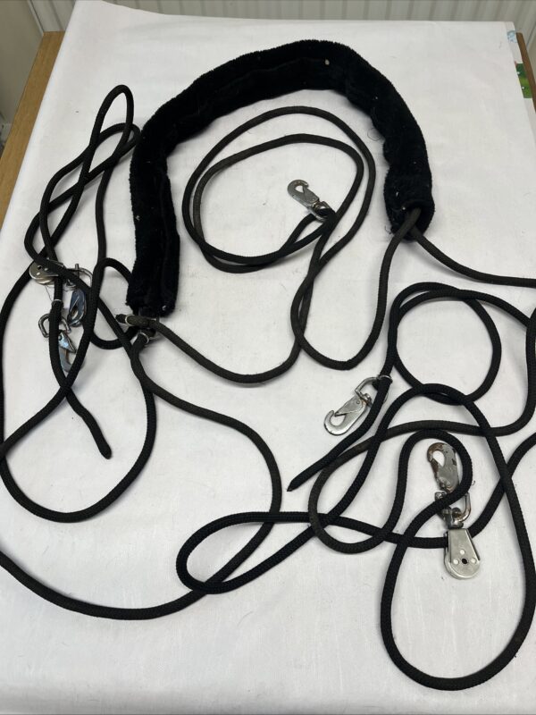 Pessoa training aid