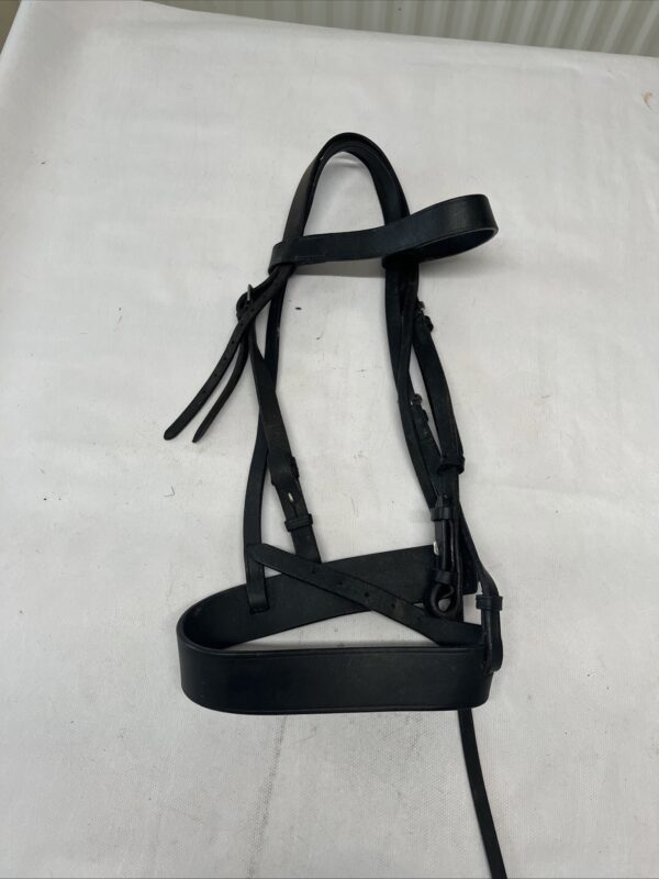 Cob black bridle