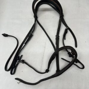 Full brown bridle
