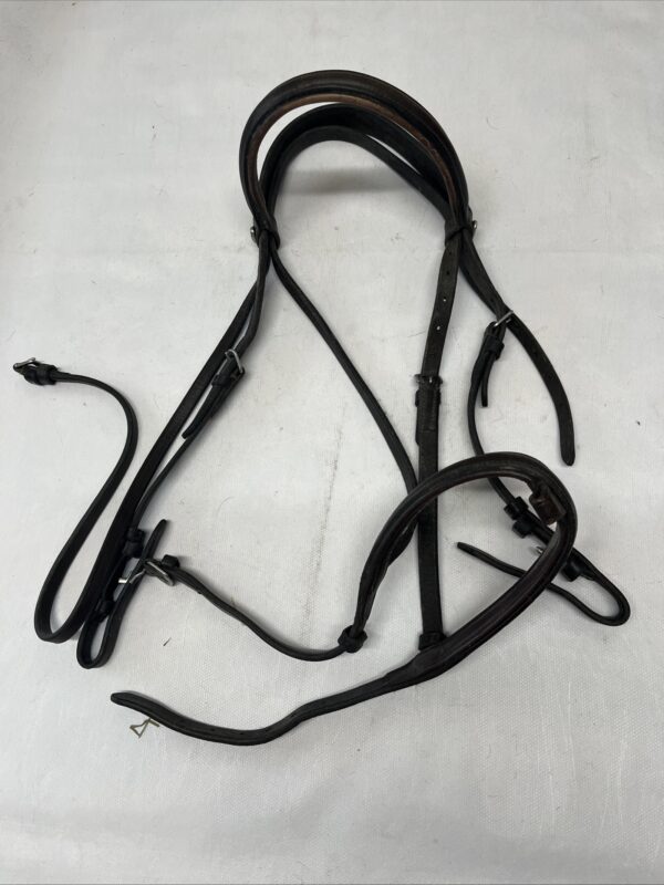 Full brown bridle