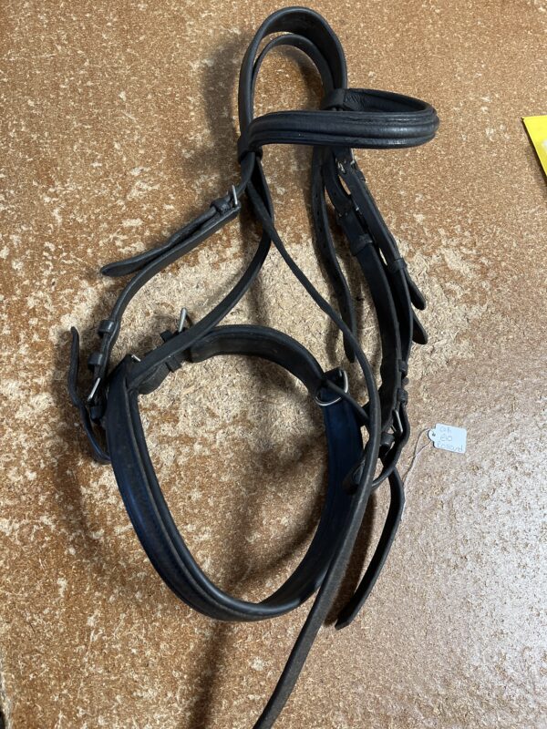 Black cob bridle