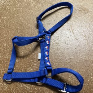 New full blue headcollar