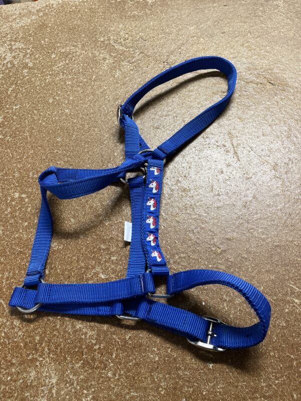 New full blue headcollar