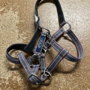Cob amigo headcollar