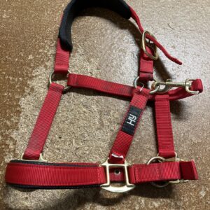 Pony hy headcollar