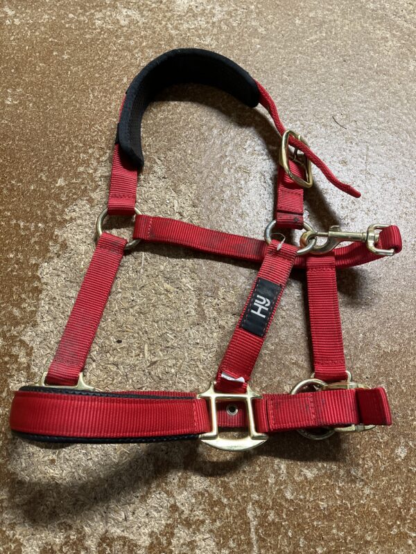 Pony hy headcollar