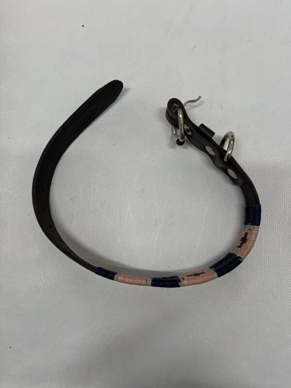 25-33cm polo style dog collar