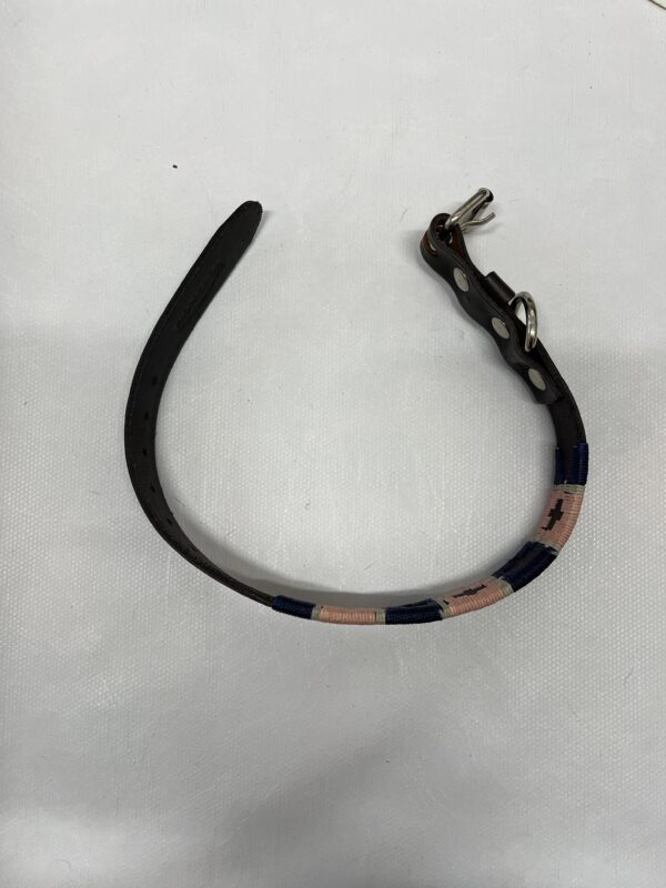 31-38cm polo style dog collar