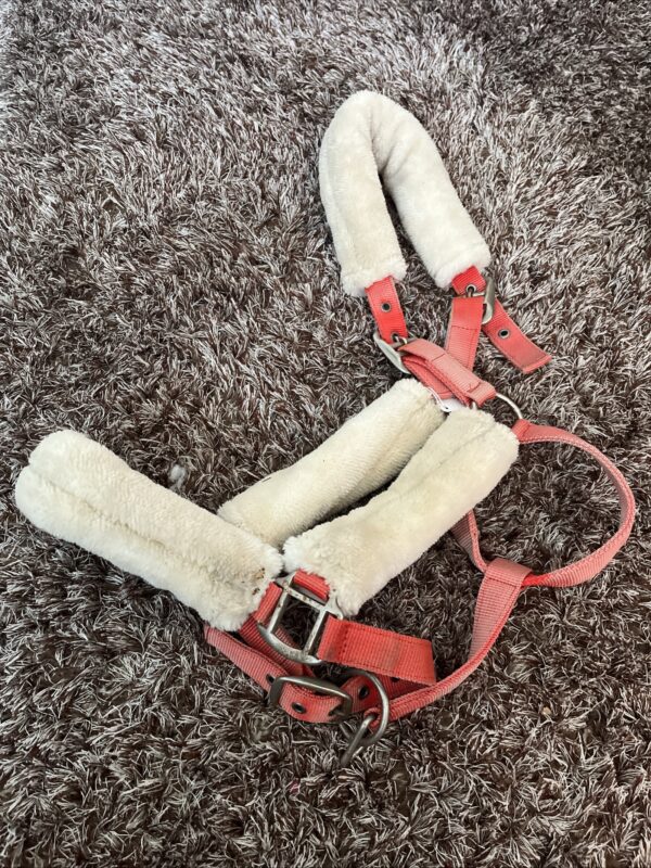 Full fluffy headcollar