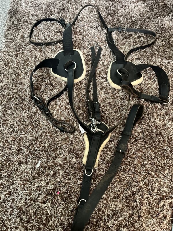 Cob 5 point breastplate