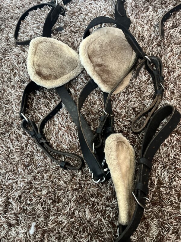Cob 5 point breastplate - Image 2