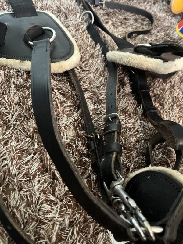 Cob 5 point breastplate - Image 3