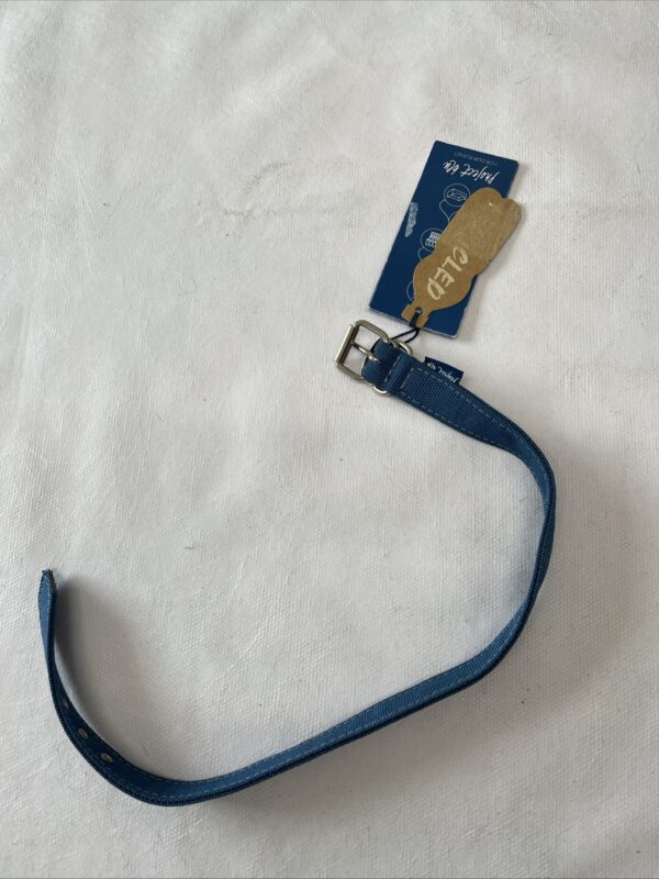 38-42.5cm new dog collar