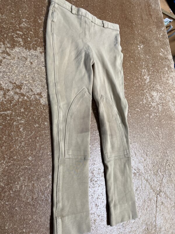 24” beige jodphurs