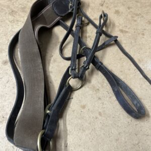 Brown breastplate