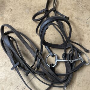 Cob brown with reins, bit and running martingale