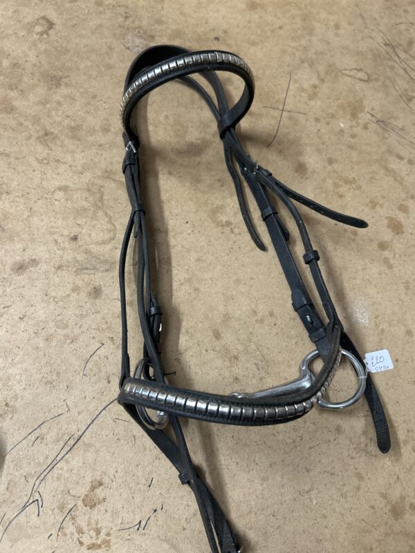 Black cob bridle with bit