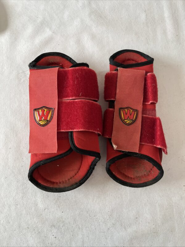 Xl brushing boots