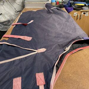 5’6 medium weight turnout