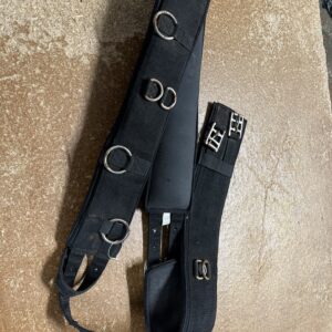Full lunging roller