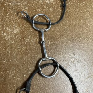 5” Cheltenham gag