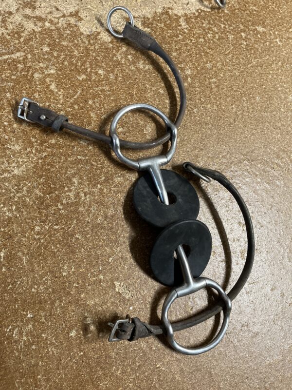 6” Cheltenham gag
