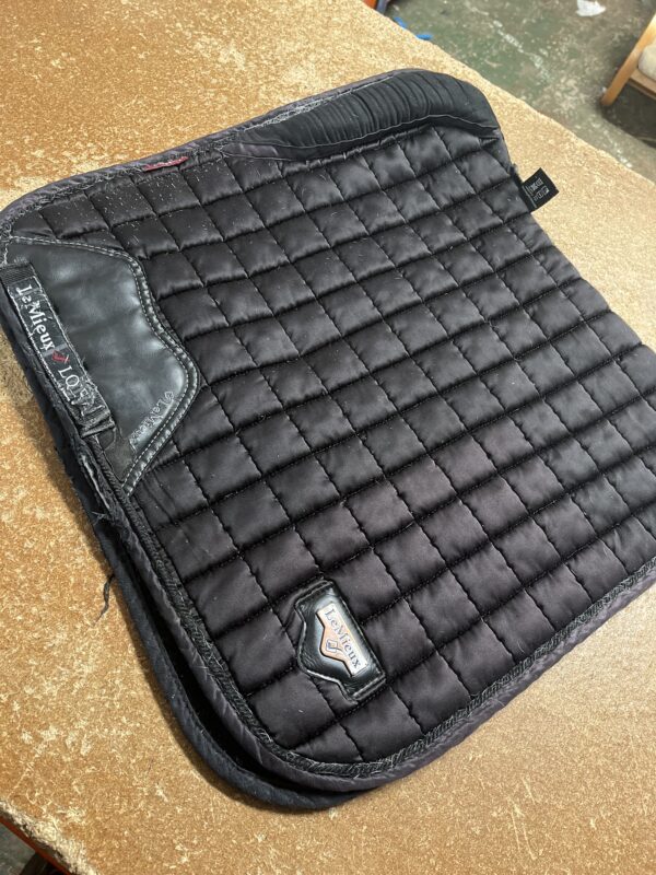 Large dressage pad