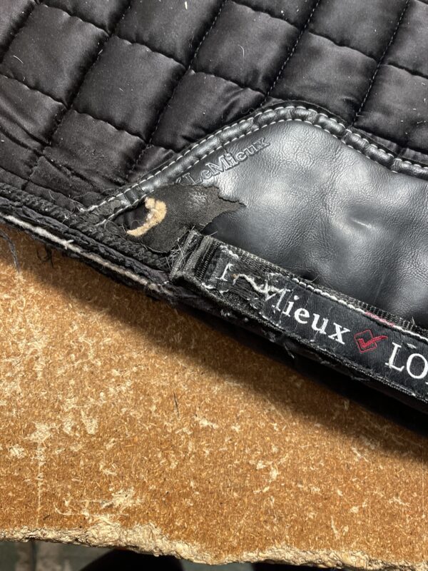 Large dressage pad - Image 2