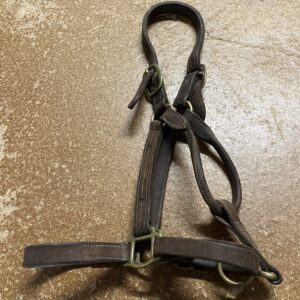 Full leather headcollar