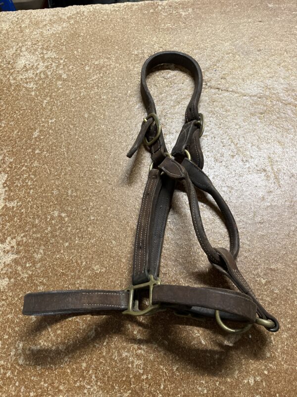 Full leather headcollar