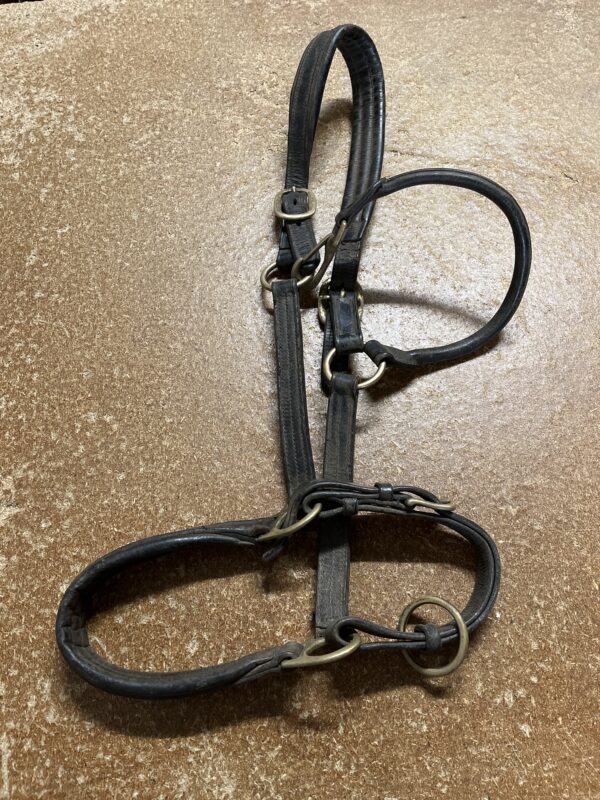 X-full black leather headcollar