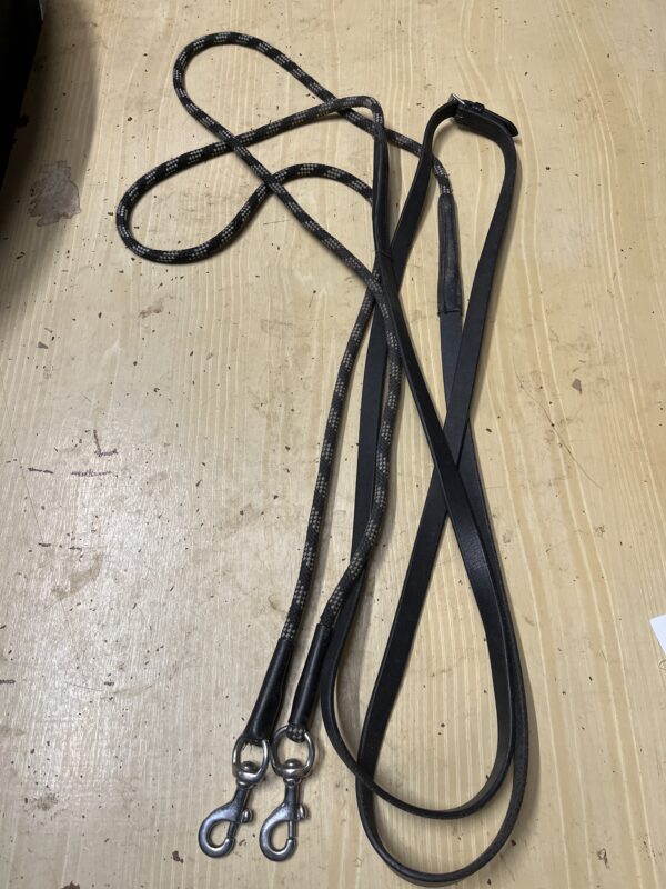 Draw reins