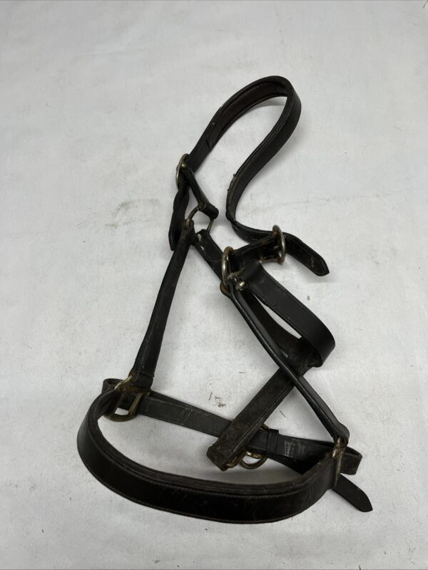 Full brown leather headcollar
