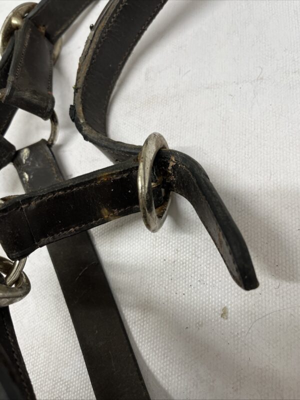 Full brown leather headcollar - Image 3